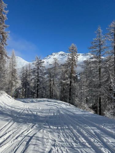 Piste verte semasa musim sejuk