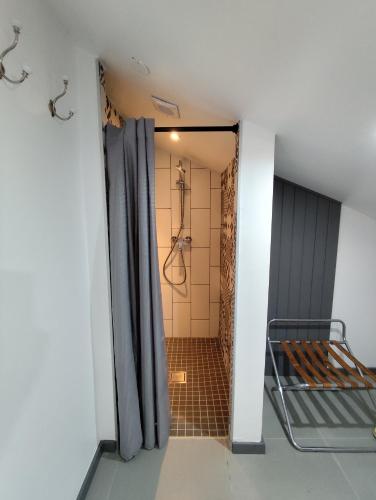 une salle de bain avec une douche avec un rideau de douche dans l'établissement Ohikoa, à Saint-Étienne-dʼOrthe