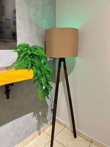 a lamp with a plant on top of a table at Casa para temporada em Americana SP in Americana