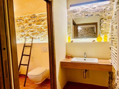 a bathroom with a sink and a mirror and a ladder at Agriturismo Montagna Verde Apella in Licciana Nardi