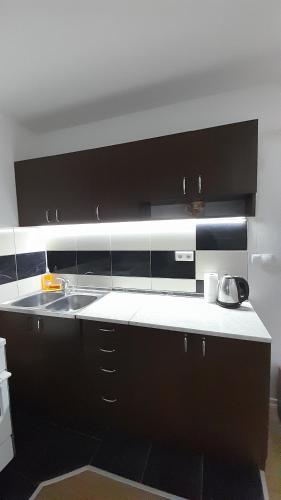 Kuchyň nebo kuchyňský kout v ubytování Hana apartman 08