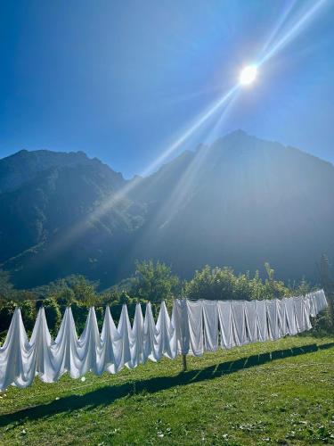 a row of white tents sitting in a field at Guesthouse Driti in Shkodër