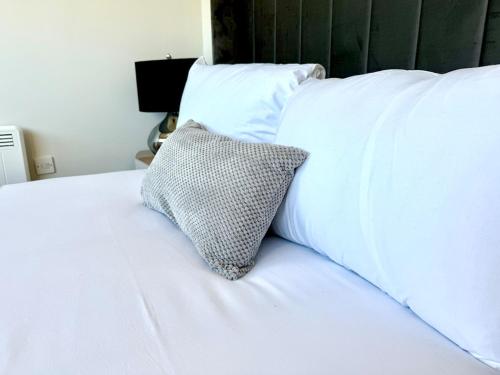 Cardiff Skyline Penthouse Apartment Free Parking Sleeps 8 photo 30