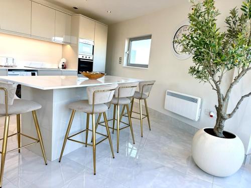 Cardiff Skyline Penthouse Apartment Free Parking Sleeps 8 photo 41