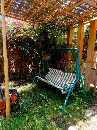 a bench sitting under a pergola in the grass at Bugambilia house in La Tinguiña