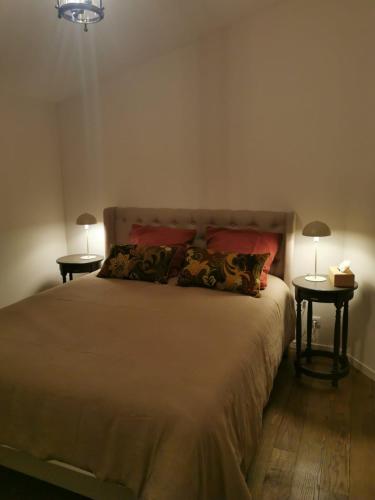a bedroom with a large bed with two tables at le Gïte du Clocher in Saint-Julien-dʼEymet