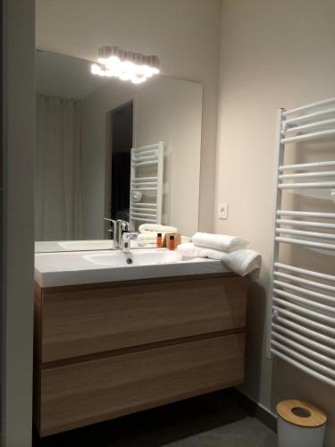 a bathroom with a sink and a mirror at La Sorelle Hôtel Golf et Restaurant in Villette-sur-ain