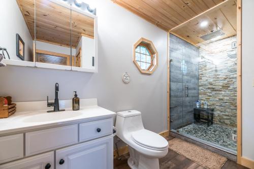 a bathroom with a toilet and a shower at Black Bear Cove in Gatlinburg