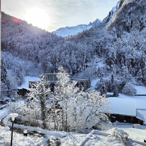 a winter view of a valley with snow covered trees at Waldeg in Engelberg