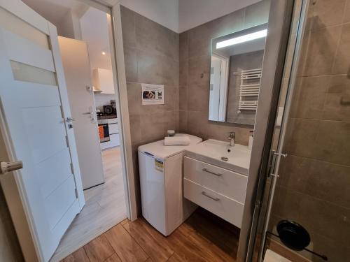 Ένα μπάνιο στο Apartament Rudy Zakątek w Centrum Bydgoszczy