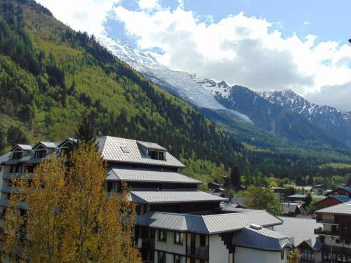 Charmant 2 Pièces Chamonix, 4 Pers, Animaux Ok, Parking