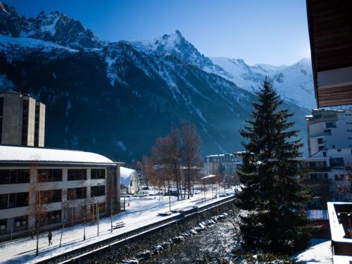Studio Chamonix 5 pers, balcon, parking, animaux ok - FR-1-517-45 photo 10
