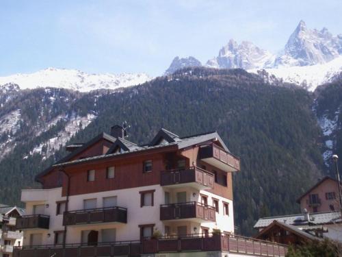 Charmant 2 Pièces Central avec Terrasse - Chamonix