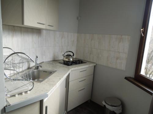 a kitchen with a sink and a tea kettle on the counter at Family room in Bakuriani in Bakuriani