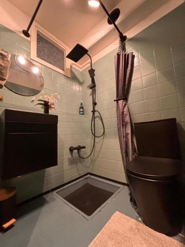 a bathroom with a shower with a toilet and a sink at Brauni City Apartment in Braunlage