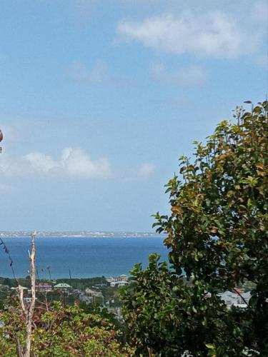 a view of the ocean from behind a tree at Claricia's 1 bedroom ,1 bathroom furnished Apt in Friar's Bay