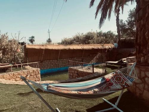 a hammock sitting in a yard next to a building at Casa Byoum jungle in Fayoum Center