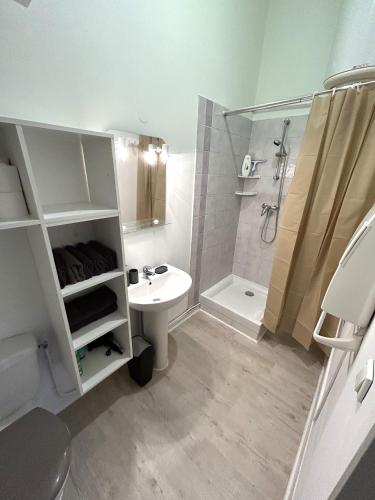 une salle de bain avec un lavabo, une douche et des toilettes dans l'établissement Studio spacieux, centre ville, à Le Pont-de-Beauvoisin