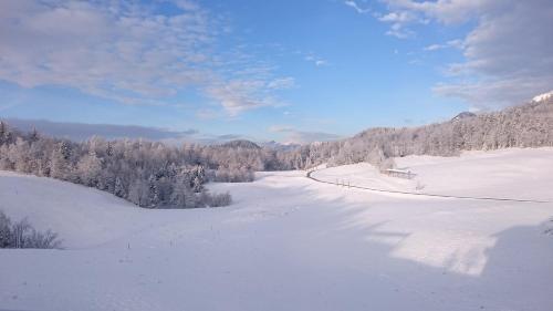 a snow covered field with trees in the background at Apartment Vrtacnik in Štefanja Gora