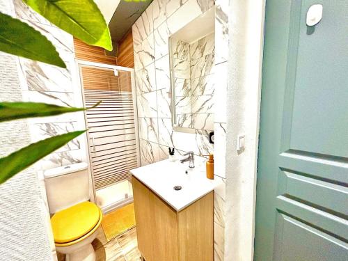 ein Badezimmer mit einem gelben WC und einem Waschbecken in der Unterkunft Le Zeste, centre parking gratuit in Villeneuve-sur-Yonne