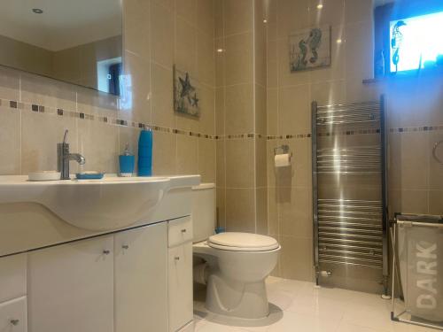 a bathroom with a sink and a toilet and a shower at Double room with WiFi! in Saint Columb Major