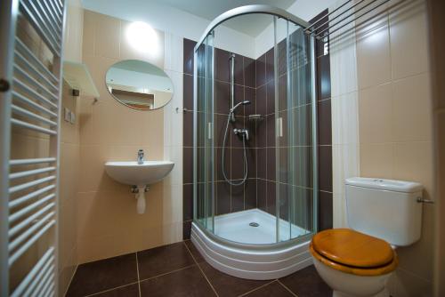 a bathroom with a shower and a toilet and a sink at Hotýlek pod smrkem in Harrachov