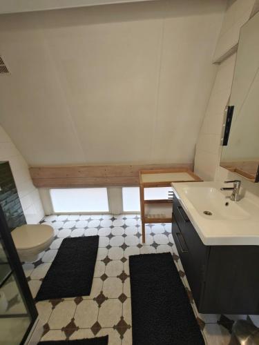 a bathroom with a sink and a toilet at Alkmaar canal apartment in Alkmaar