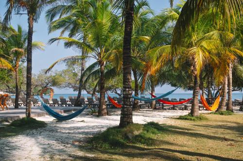 a group of hammocks on a beach with palm trees at Hotel Rosario de Mar by Tequendama in Isla Grande