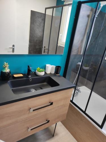 une salle de bain avec un lavabo et une douche dans l'établissement Ty Moon, à Lannion