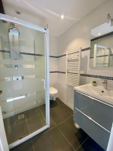 une salle de bain avec une douche, un lavabo et des toilettes dans l'établissement Charmante dépendance, à Izon