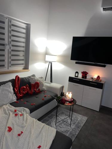a living room with a couch and a flat screen tv at Ranczo pod lasem in Witnica