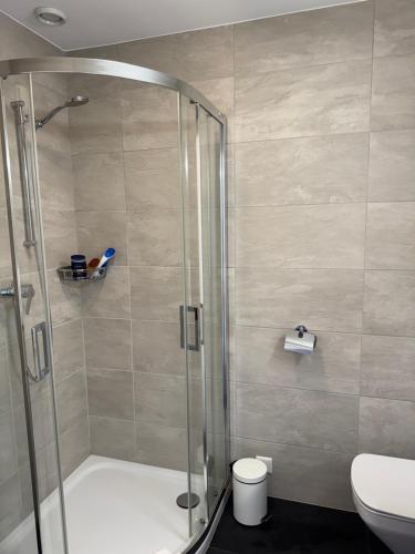 a bathroom with a shower and a toilet at Clair Vue A2 Telecabine by Jolidi in Nendaz