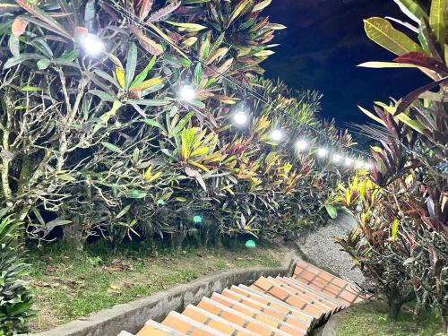 a row of lights in a park with a bench at Apartamento campestre para pareja en Manizales in Manizales