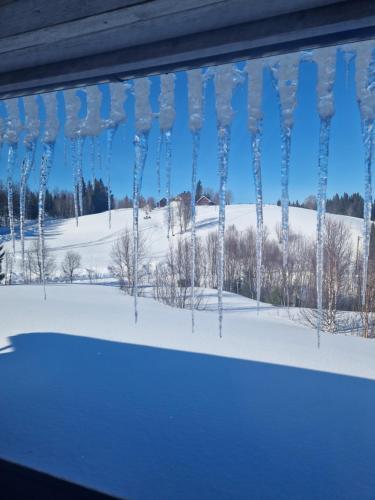 Ånnstugan semasa musim sejuk