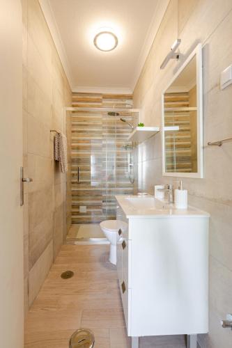 a bathroom with a toilet and a sink and a shower at Casa Monte S José in São Bartolomeu de Messines