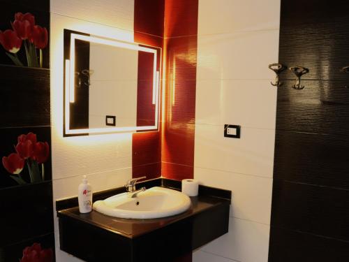 a bathroom with a sink and a mirror and red tulips at Hotel Rooms for rent Male only in Cairo