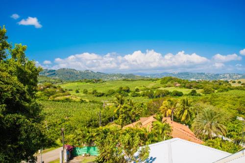 a view of a hill with palm trees and a house at Villa Tropic Hirondelle - Piscine Vue Mer in Le François