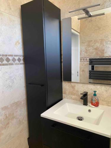 une salle de bain avec un lavabo et un miroir dans l'établissement GOLFE JUAN, Cosy T3 , piscine , parking, au Golfe-Juan