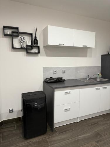La cuisine est équipée d'un réfrigérateur noir et d'un évier. dans l'établissement Studio, Maison, rez de chaussée, Perpignan, à Perpignan