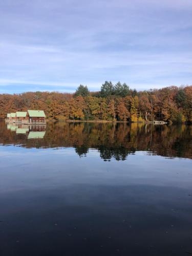 une maison sur un lac avec des arbres en arrière-plan dans l'établissement Les chalets flottants de Capucine, à Saint-Gérons