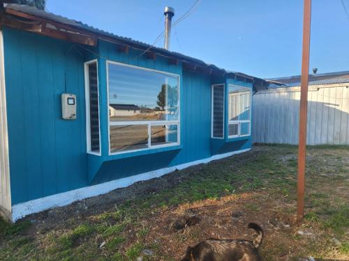 a blue house with a dog in the yard at Cabañas de Turismo Berolav 3 in Puerto Montt
