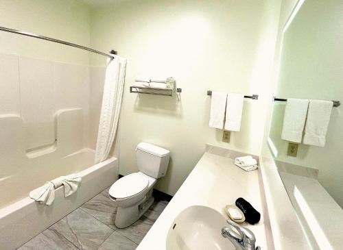 a white bathroom with a toilet and a sink at Van Buren Hotel in Shipshewana