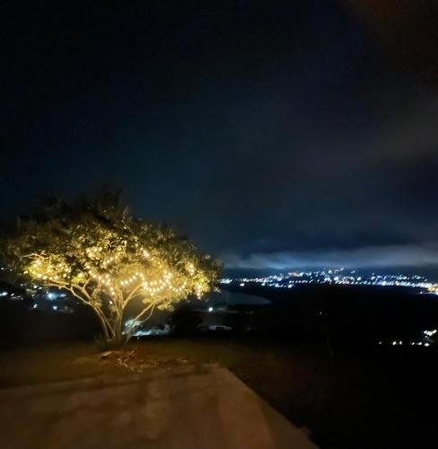 a tree with lights on it at night at Casa campestre Lago Calima in Calima