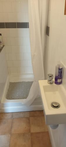 a bathroom with a shower and a sink at Robins nest in Great Hanwood