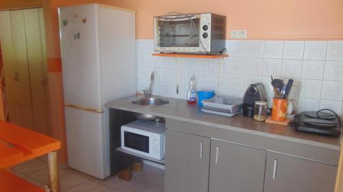 una piccola cucina con lavello e microonde di Caribgites a Sainte-Anne