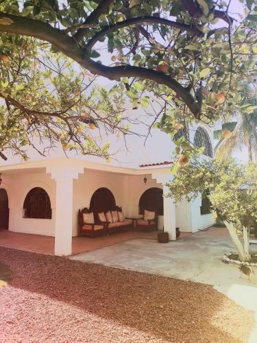 Gallery image of Villa Irina in Tequesquitengo