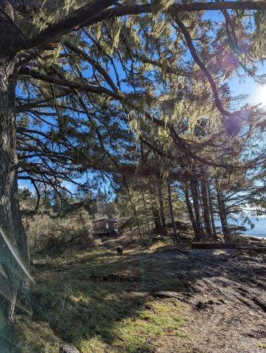 Φωτογραφία από το άλμπουμ του Cozy Beachfront Cabin at Woodside Farm σε Sooke