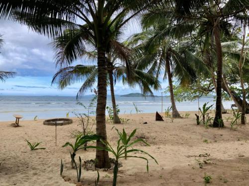 a beach with palm trees and the ocean at DANG dang Balbago Beach in El Nido