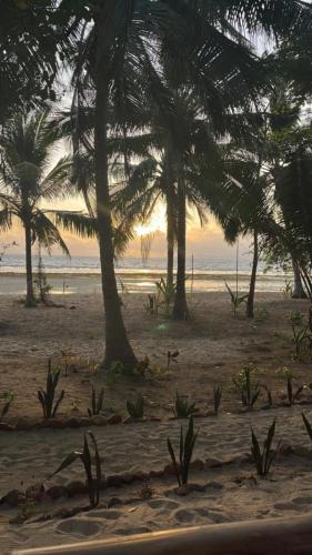 a sandy beach with palm trees and the ocean at DANG dang Balbago Beach in El Nido