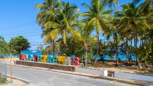 a street next to a beach with palm trees at Oceanfront Apt W- Private Beach - Las Terrenas in El Limón